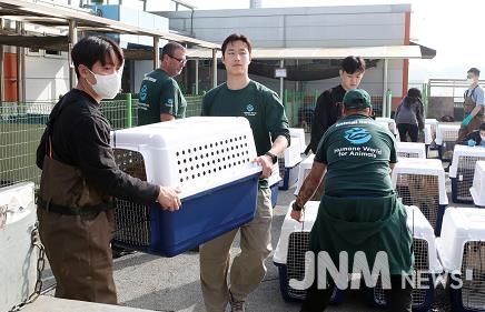 청주시, ‘불법 도축농장’ 개 68마리 구조해 해외입양 추진