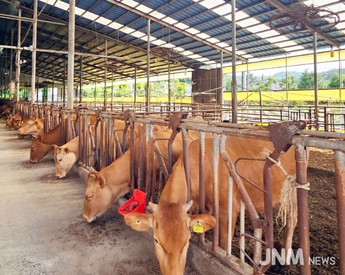 사료구매 정책자금 247억원 투입