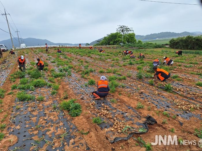 농번기 맞아 일손돕기