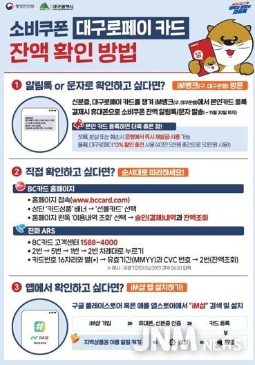 소비쿠폰 카드 잔액, 9월 8일부터 이렇게 확인하세요!