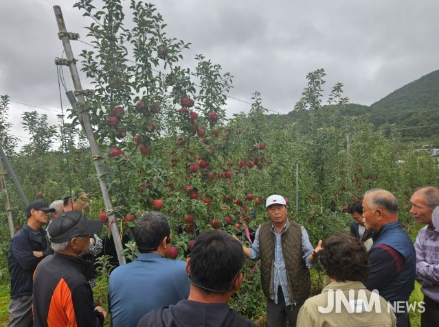 경북 청송군 선도 농가를 방문하여 미래형 사과 다축과원 조성을 위한 선진지 견학을 하고 있는 곡성군 농업인들