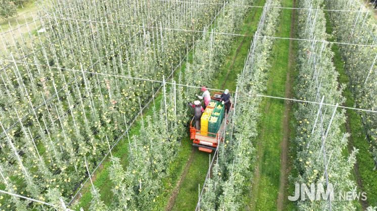 청송군, 2026년도 과수생산분야 지원사업 신청접수