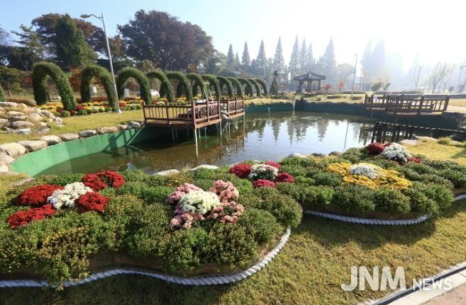 2024년 국화 축제 사진