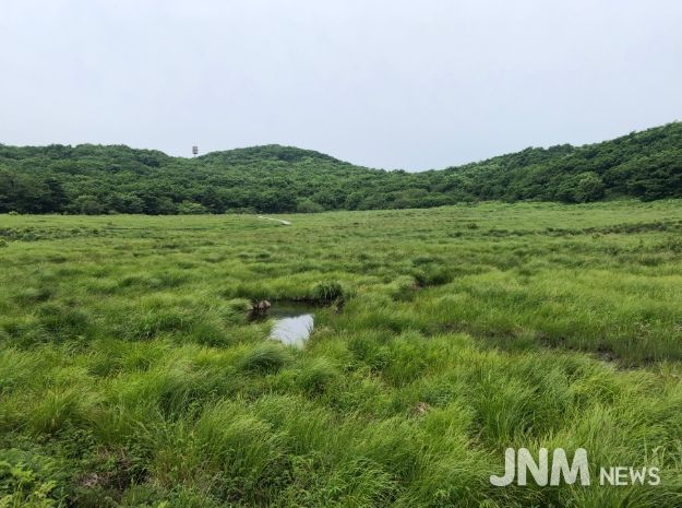 (북부지방산림청) 강원 인제 대암산 용늪 산림유전자원보호구역