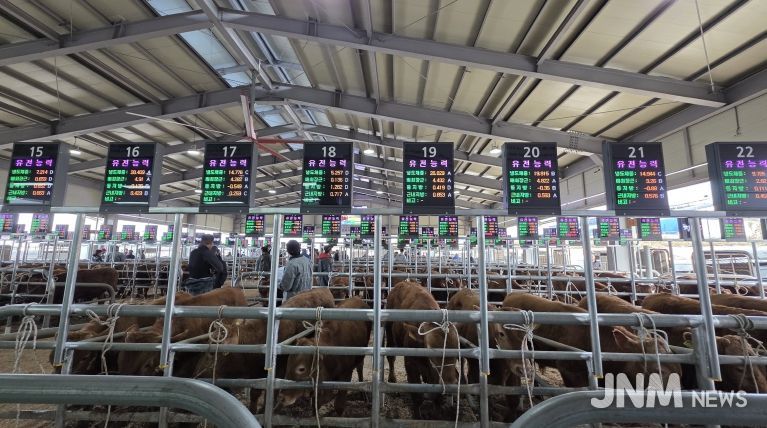 음성축협, 스마트 가축시장 플랫폼 구축 완료