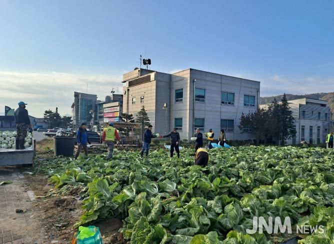 양평군 양동면 지역사회보장협의체, 기관·단체와 함께 동절기 배추·무 수확