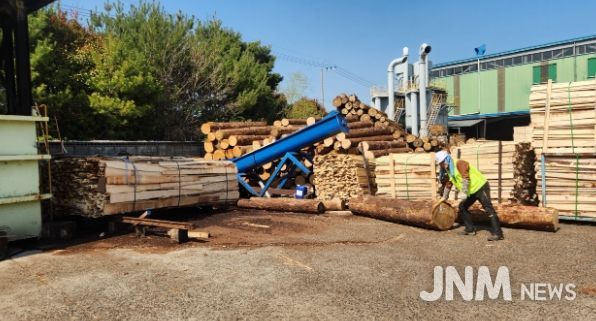 양산시, 2025년 가을철 소나무류 이동 특별단속 실시