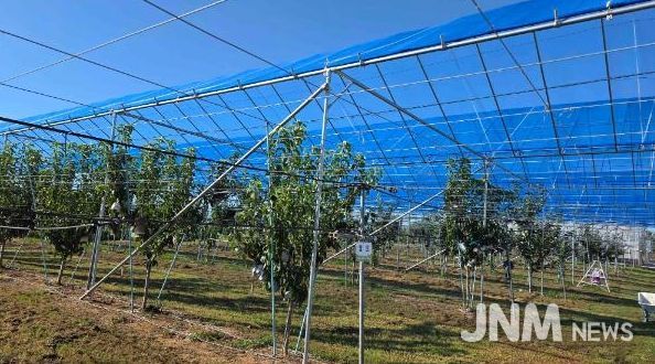 배 농가와 함께 ‘과수 기후변화 대응 현장 컨설팅’