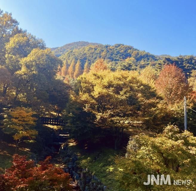 봉수산 자연휴양림 단풍 모습