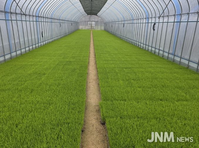 벼 농사의 첫걸음, 내년도 벼 보급종 신청하세요