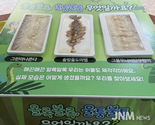 뱀 허물 만지기 체험