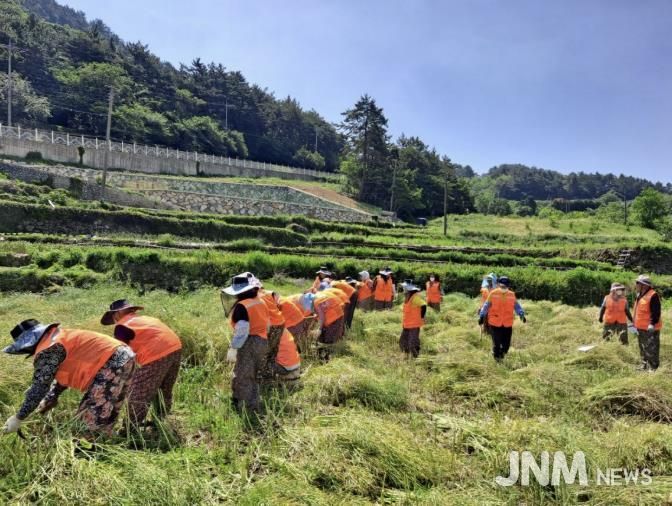 남해군, 26년 노인일자리 및 사회활동지원사업 본격 추진