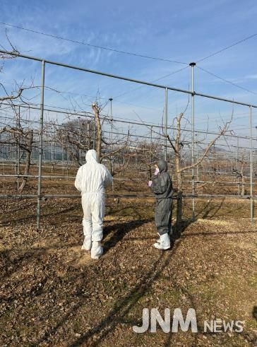 임실군, 과수화상병 궤양 제거 ‘예방의 첫걸음’