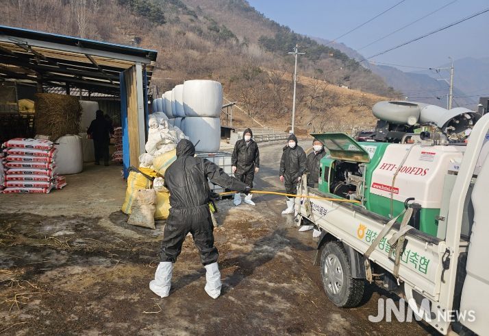 정선군, 설 연휴 대비 가축전염병 차단 합동 특별방역 추진