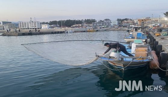 분기초망 그물 전개