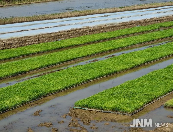 병해충 사전 차단 나선 익산시