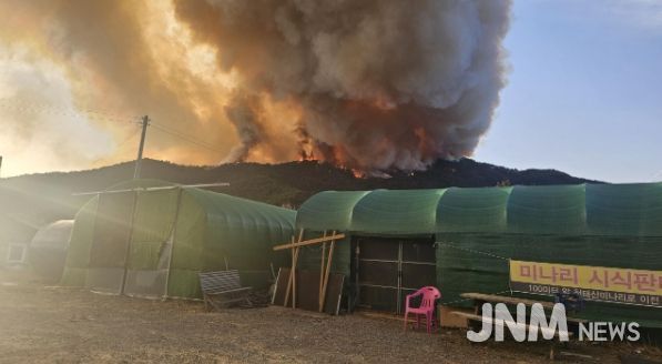 밀양시 삼랑진읍 야산 산불