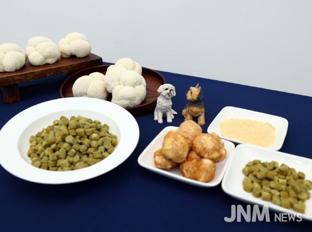 펫푸드소재개발