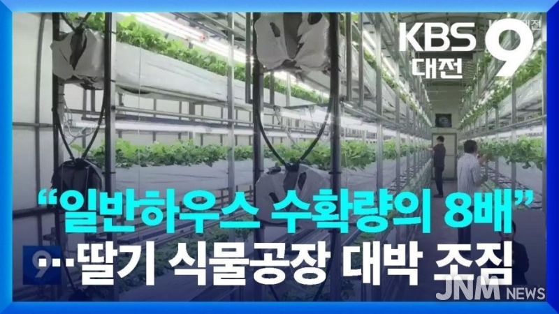 딸기 식물공장 프로젝트 본격 추진